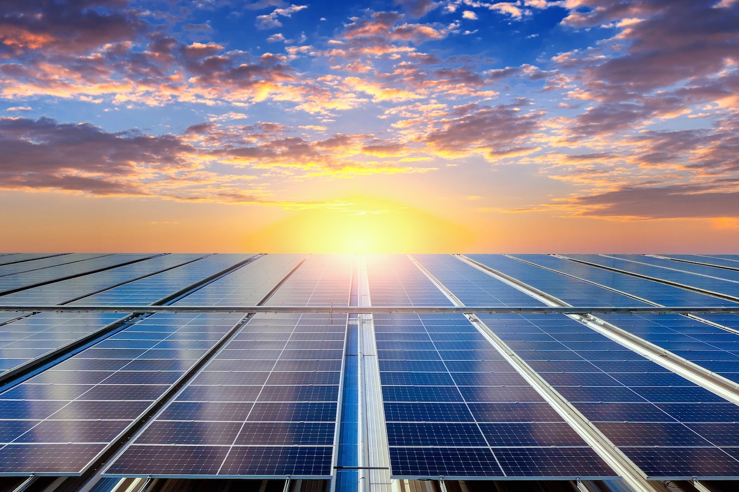 corporate sustainability banner