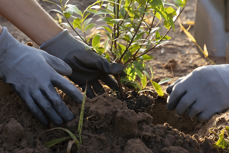 Environmental Stewardship banner